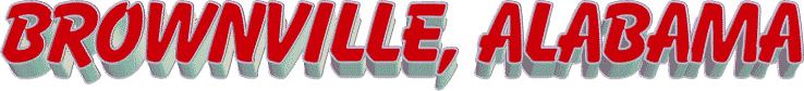 brownville.gif (13156 bytes)