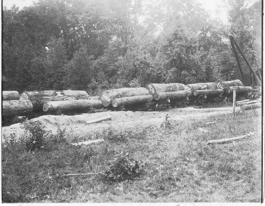 bville183.jpg (109488 bytes)