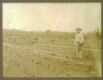 bville92_t.jpg (1902 bytes)