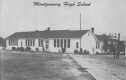 montgomery_t.jpg (1472 bytes)