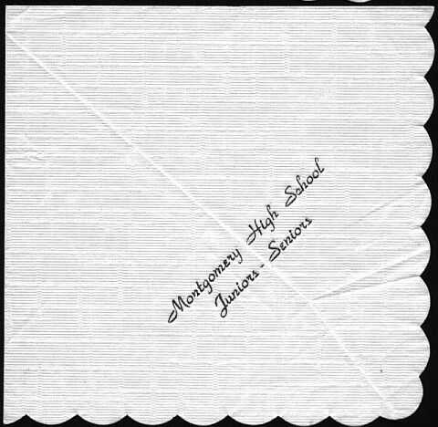 napkin.JPG (49438 bytes)